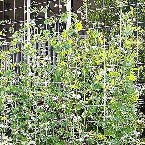 toolazy professional garden trellis netting bulk roll 4ft on a desk or shelf