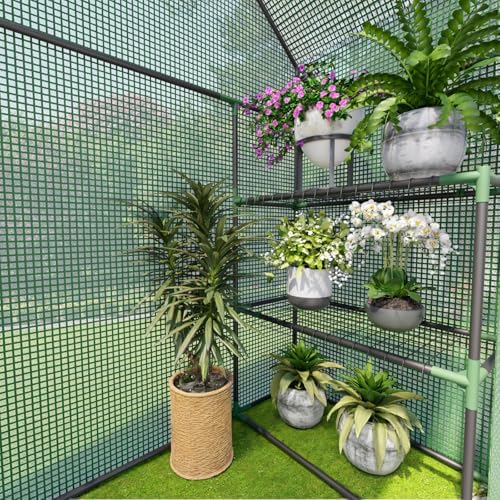 small greenhouse for outdoors, walk-in plant greenhouse with, front angle view