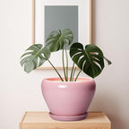 10 Inch Plant Pot - Ceramic Planter for Indoor Plants, Glaze Modern Round Planter with Drainage Hole and Saucer, Gifts for Plant Lovers, Office Patio Home Room Decor, Pink