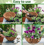 LCHUANG Coco Liners for Planters - 6 Pack 12 Inch Round Hanging Basket Liners, 100% Natural Coconut Fiber Replacement Liners for Hanging Baskets Planters Flowers, Plants, Vegetables (12'' Pack of 6)