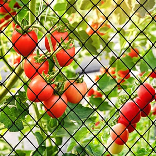 bird netting 50'x50' heavy duty nylon net with on a desk or shelf
