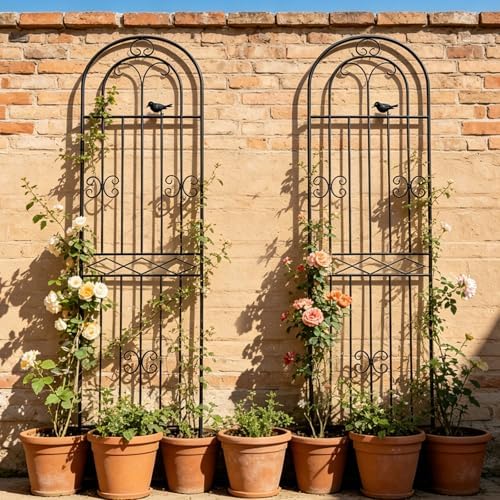 70.8" h x 19.7" w metal garden trellis on a desk or shelf
