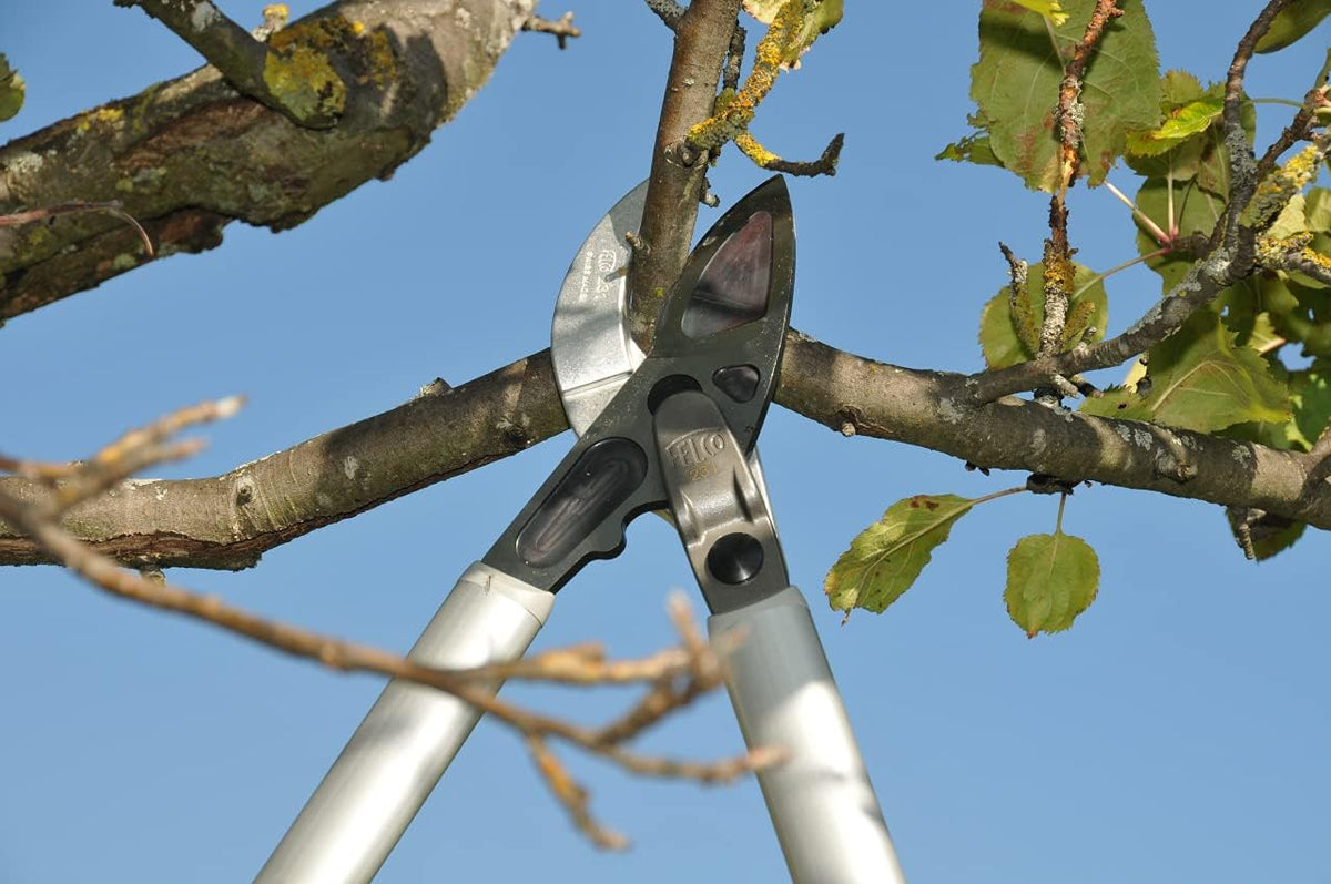 felco 231, front angle view