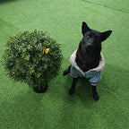 all season green 2't 19''d topiaries trees artificial shown in use