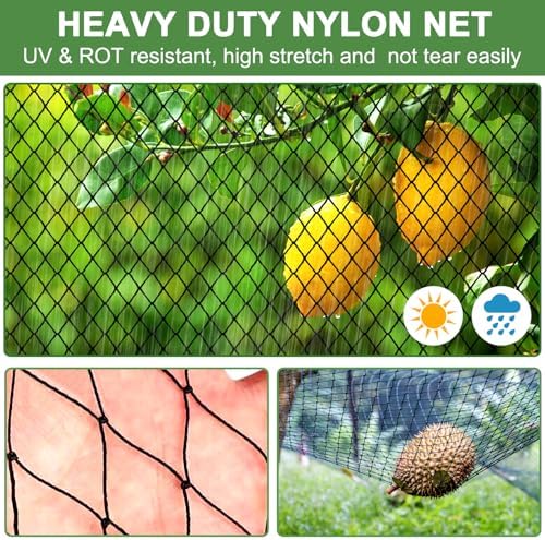 dqs bird netting 50' x 50', 2.4" square shown in use