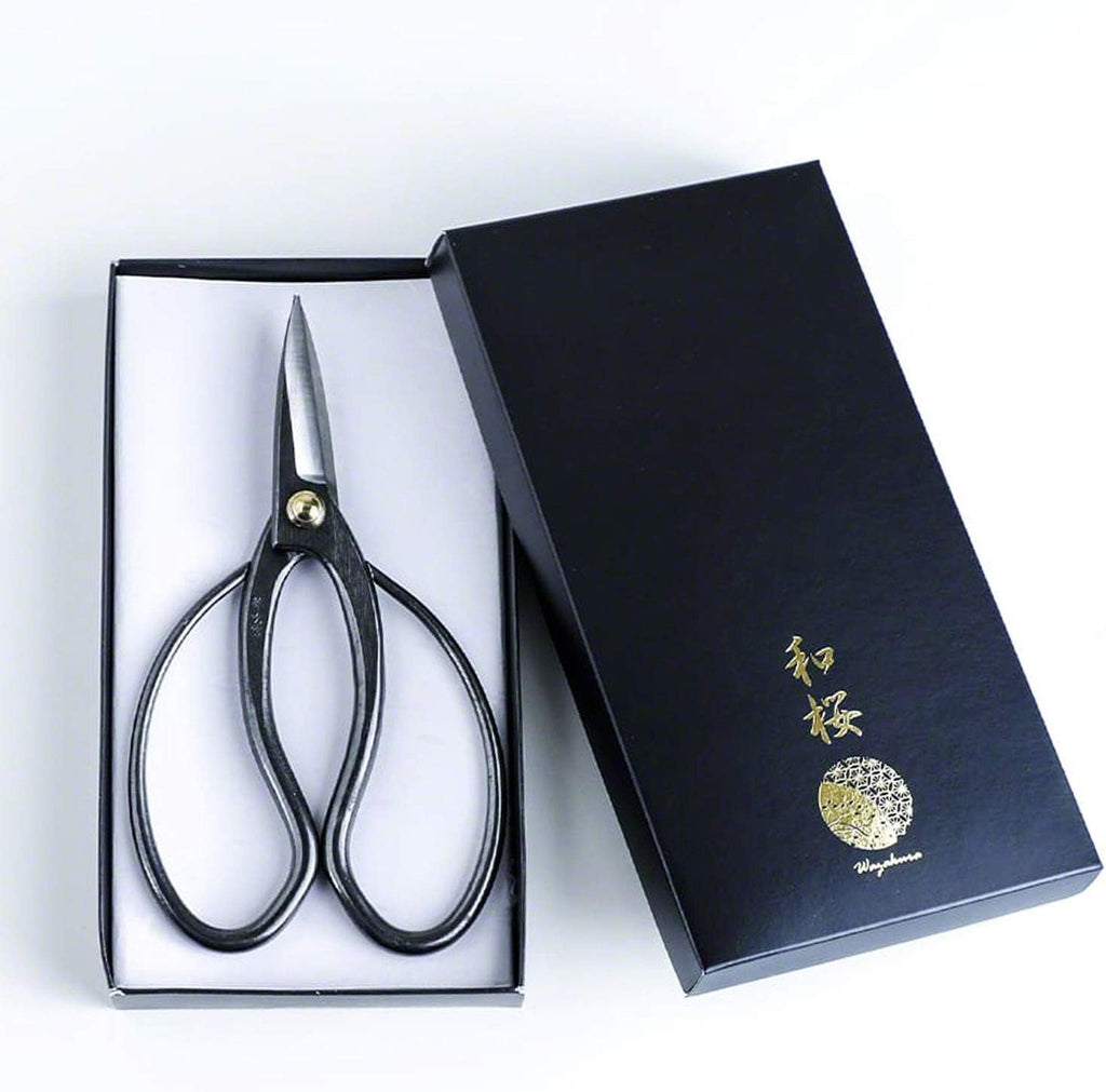 wazakura 4pcs bonsai tool kit, traditional scissors and on a desk or shelf
