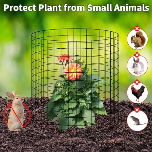 metal wire plant protector,10 pack garden cages for, front angle view