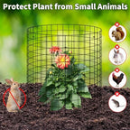 metal wire plant protector,10 pack garden cages for, front angle view