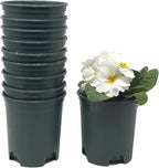 Wholesale Bulk Nursery Pot 4 Inch Green Plastic Planters 30-Pack 0.25 Gallon Pots for Outdoor Indoor Plants Gardening Flower with Drainage Holes