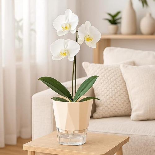 2 Pack Self Watering Pots for Indoor Plants, 8.4" Self Watering Planters Large African Violet Self Watering Clear Pots for Plants Large Herb Orchid Flower Houseplant, Ivory White