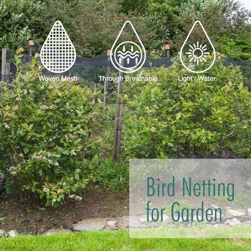 bird netting for garden, fetanten 28 x 30 shown in use