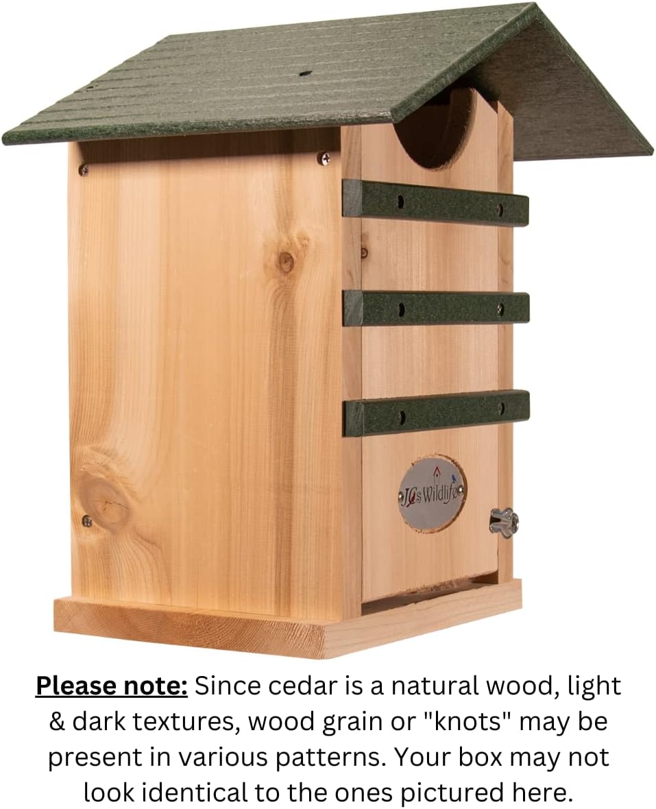 Screech Owl House Cedar Nesting Box with Poly Lumber Roof, Saw-Whet Owl Box for Outside, Drainage Ventilation, Easy Cleanout, Made in USA, Green