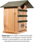 Screech Owl House Cedar Nesting Box with Poly Lumber Roof, Saw-Whet Owl Box for Outside, Drainage Ventilation, Easy Cleanout, Made in USA, Green