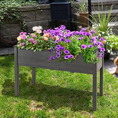 s afstar raised garden bed with greenhouse cover, front angle view