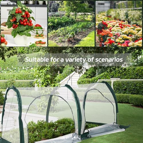 portable tunnel greenhouse for outdoors - transparent mini, package contents