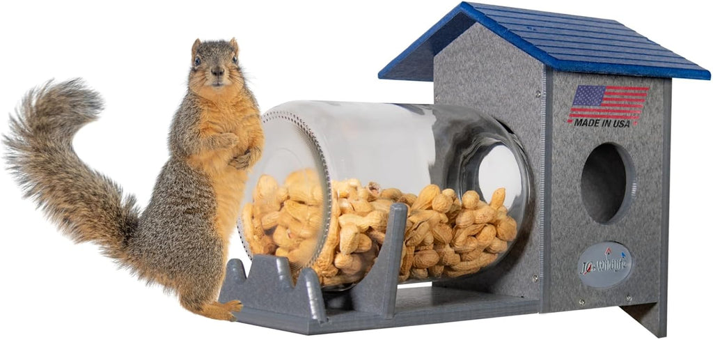 Squirrel Under Glass Mason Jar Peanut and Loose Corn Squirrel Feeder - Keep Squirrels Out of Bird Feeders