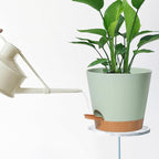 Self Watering Green Plastic Plant Pot Flower Planters with Drainage Hole And Deep Reservoir Large Planting Pots for for All Houseplants,Succulent, African Violets, Flowers and Cactus 12Inch/2pcs