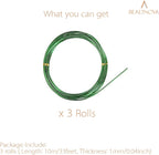 BEADNOVA Bonsai Tree Wire 98 Feet Green Aluminum Bonsai Tree Training Wire for Indoor and Outdoor Plant (Green, 1mm, 30m)
