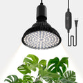 Hanging Grow Lights for Indoor Plants, 25W 5000K, LED Light Bulbs | LED Grow Light, Height Adjustable Pendant, Full Spectrum Plant Lamp with Timer for Tall Indoor Plants, Black