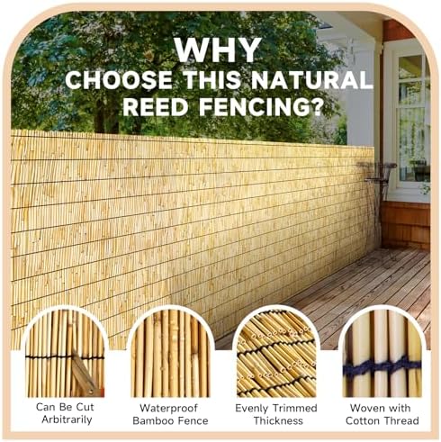 zncmrr reed fencing rolls 2 pcs natural bamboo, close-up detail