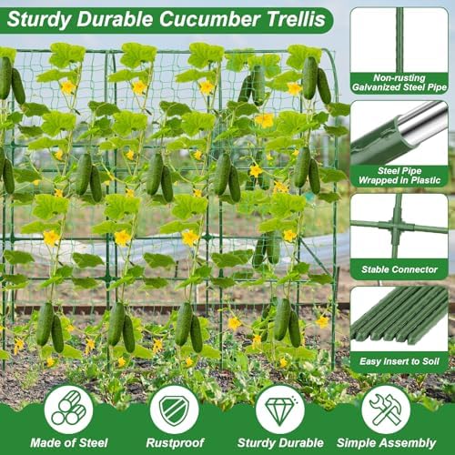 50 cucumber trellis for raised bed, u-shape metal shown in use