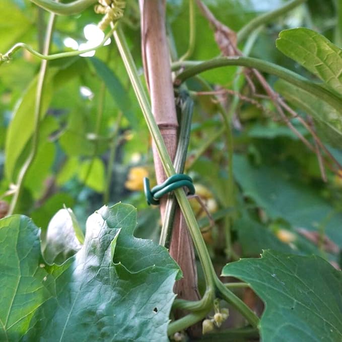 Decoroca Garden Flexible Tie, Soft Twist Plant Ties 32.8' - Green Support Plant Wire, Durable Heavy Duty Vines, Stems & Stalks