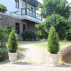 3ft artificial topiary trees artificial cedar trees uv shown in use
