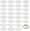 30 Pack Plant Saucers for Indoors 4 Inches Plant Trays for Pots Plastic Trays for Plants Square Plant Drip Trays for Potted Plants Flower Pot Saucers Clear Plant Plates to Catch Water, Bulk