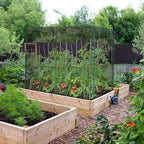 ohuhu crop cages for garden plant:6.6x3.9x5.3 ft plant on a desk or shelf