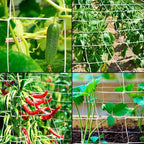 plant trellis netting 5 * 30ft 3.5 mesh, front angle view