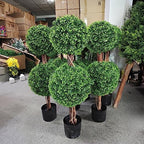 lifelike indoor&outdoor use 3ft boxwood double ball topiary showing dimensions