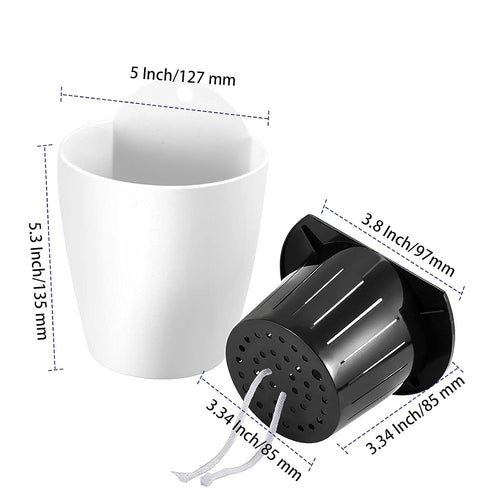 5 inch self watering wall mounted planters, plant shown in use