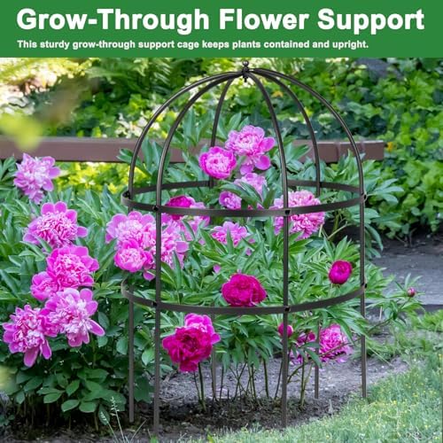 jardin bird cage plant support 24" h large on a desk or shelf