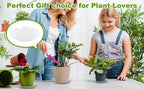 6 Pack 12 Inch Heavy Duty Clear Plastic Plant Saucer Sturdy Pot Tray Plant Drip Trays for pots,Plant Water Catcher Tray,Flower Pot Saucer Water Drainage Tray Floor Protector (12 Inch)