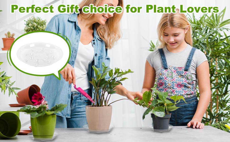 6 Pack 12 Inch Heavy Duty Clear Plastic Plant Saucer Sturdy Pot Tray Plant Drip Trays for pots,Plant Water Catcher Tray,Flower Pot Saucer Water Drainage Tray Floor Protector (12 Inch)