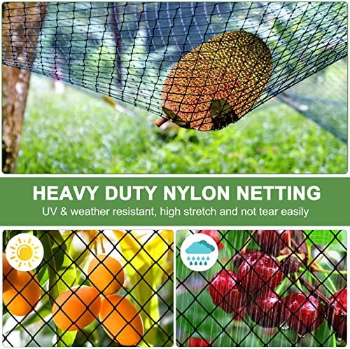 bird netting 50'x50' heavy duty nylon net with shown in use