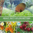 bird netting 50'x50' heavy duty nylon net with shown in use