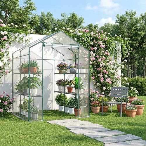 sweetcrispy 56"x56"x77" outdoor greenhouse, with 2 tier 8 shown in use