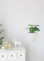 Boho Hanging Planter for Indoor Outdoor Plants Modern Wall and Ceiling Hanging Plant Basket Holder Hanger for Vines Succulents Ferns Room Decor(White)