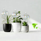 3 PCS Top-Fill Self Watering Globes, Automatic Plant Watering Devices, Transparent Self Watering Planter Insert, Durable Clear Glass Aqua Bulbs for Indoor, Cactus Shape, & Funnel