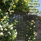 domi metal privacy screen, freestanding outdoor indoor divider, close-up detail