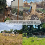 junflying 50x50 ft chicken netting for hawks &, front angle view