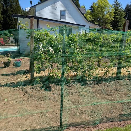 deer fence netting 5x65 ft, heavy duty plastic shown in use