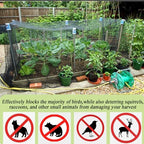 junflying 50x50 ft chicken netting for hawks & showing dimensions