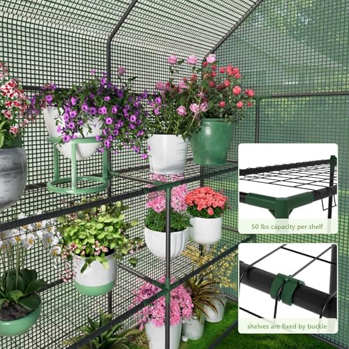 walk in greenhouses, 57 x 57 x 76, close-up detail