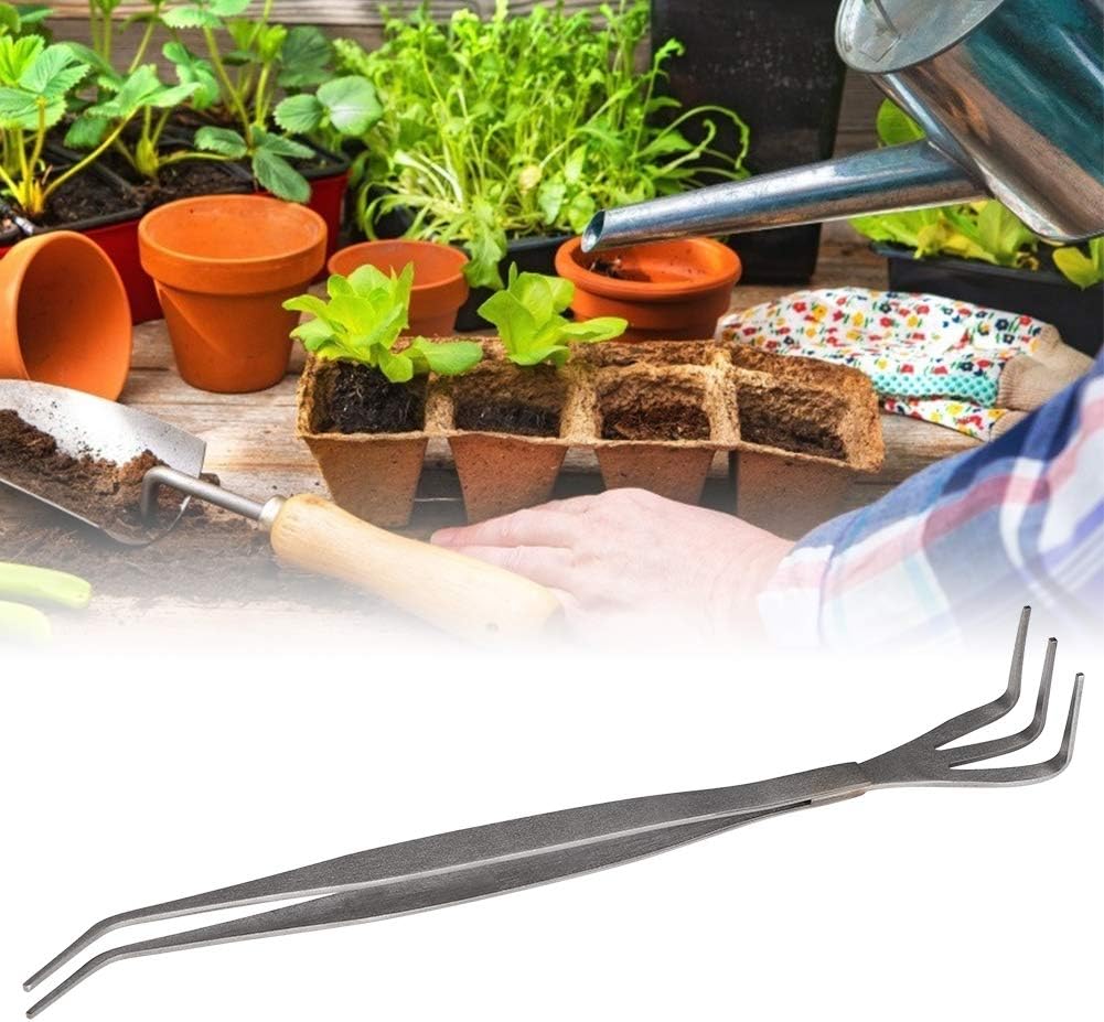 2 in 1 Bonsai Tweezers with Root Rake, 8.3 inch Stainless Steel Gardening Tongs for Plant Care, Repotting, and Precision Weeding, Anti-Slip Grip Tool for Beginners and Enthusiasts