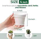 T4U 4 Inch Plant Pots 18-Pack, Small Flower Pots with Saucer and Drainage Hole, Durable Plastic Pots, Nursery Small Flower Pot Bulk for Plants, Succulent, Violet, Decorative (18 Pack 4" Pot, White)