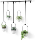 umbra triflora hanging planter, window herb garden, set, main product view