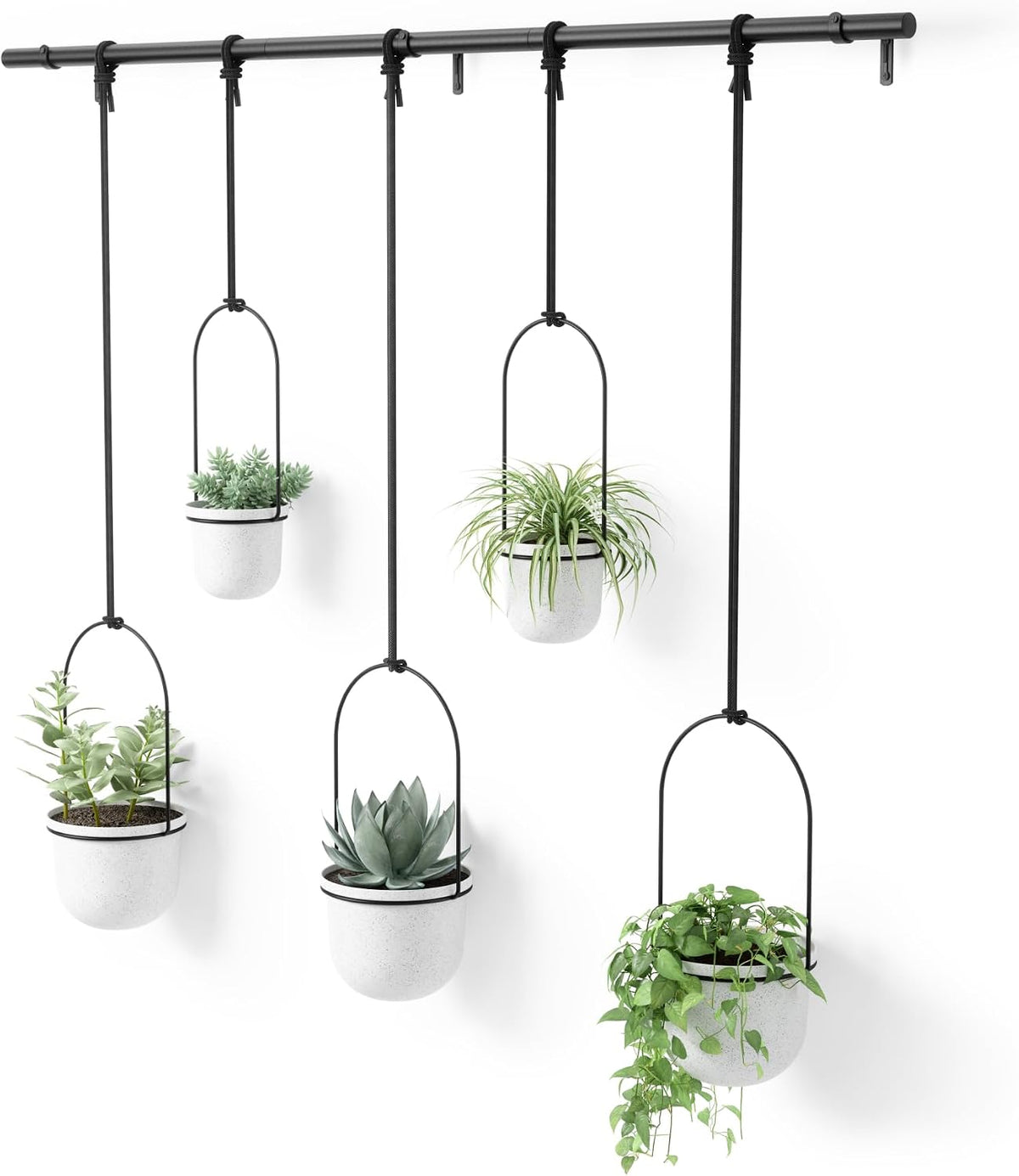 umbra triflora hanging planter, window herb garden, set, main product view