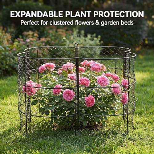 dhampooh garden cloches for plants, outdoor plant protectors on a desk or shelf